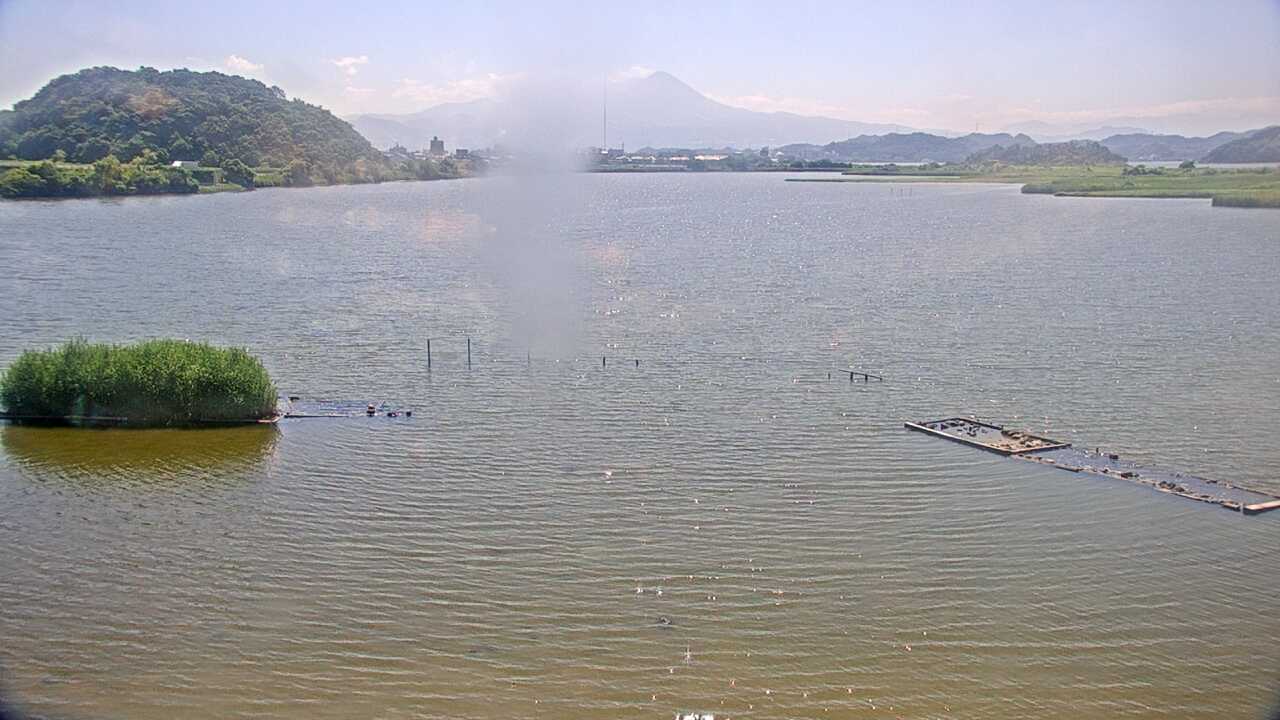 Bewicks Swans at Yonago Waterbird Sanctuary