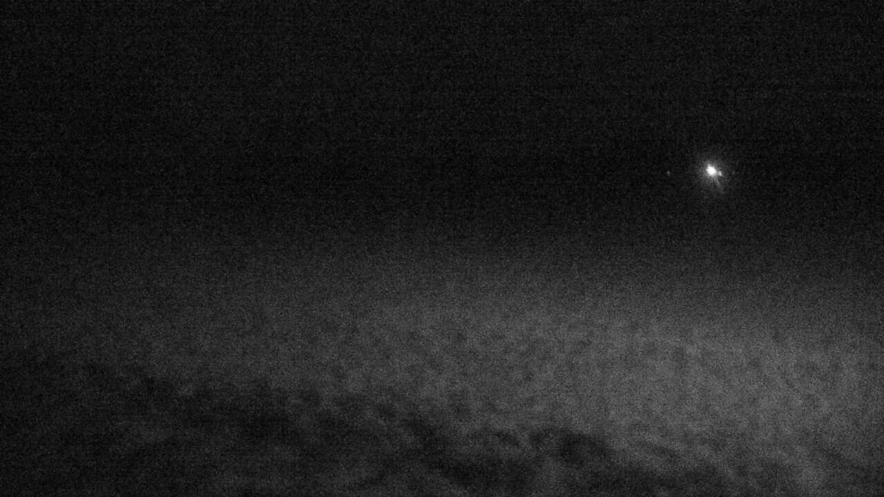 釧路湿原のタンチョウ