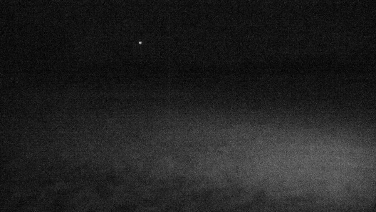 釧路湿原のタンチョウ