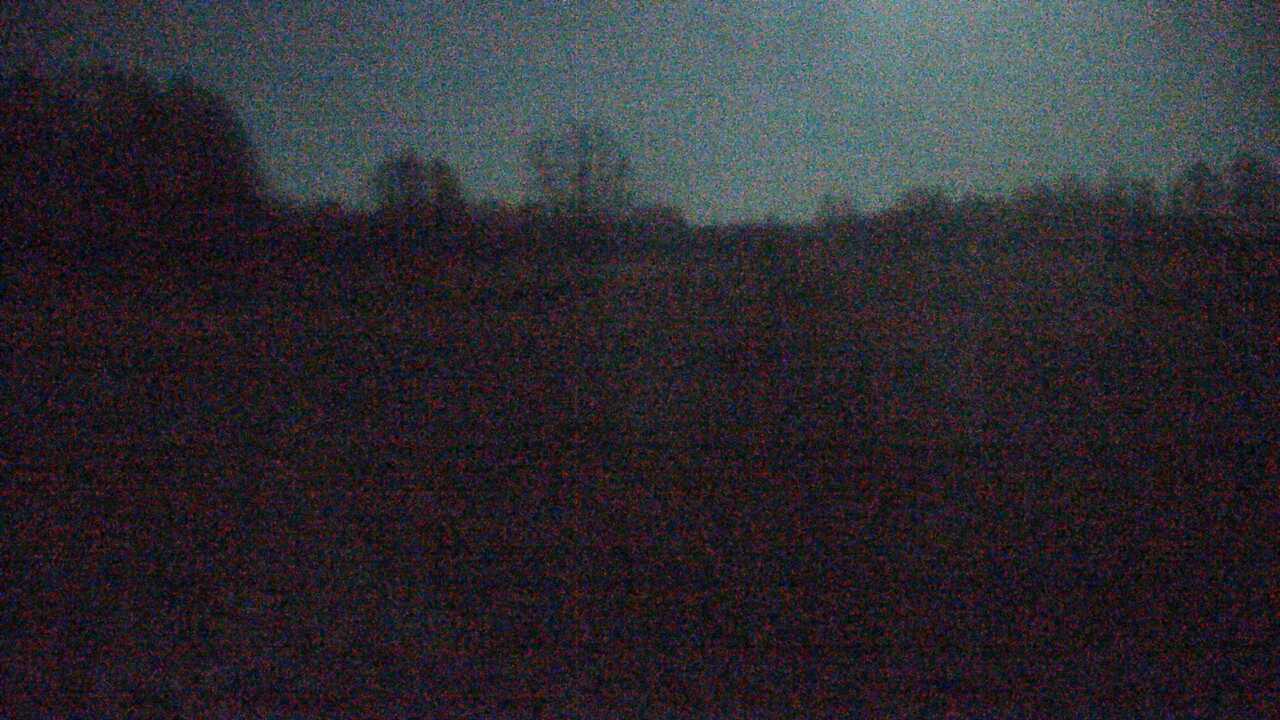 釧路湿原のタンチョウ