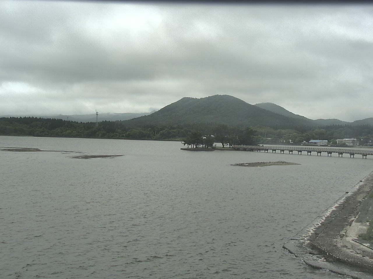 小湊海岸のハクチョウ