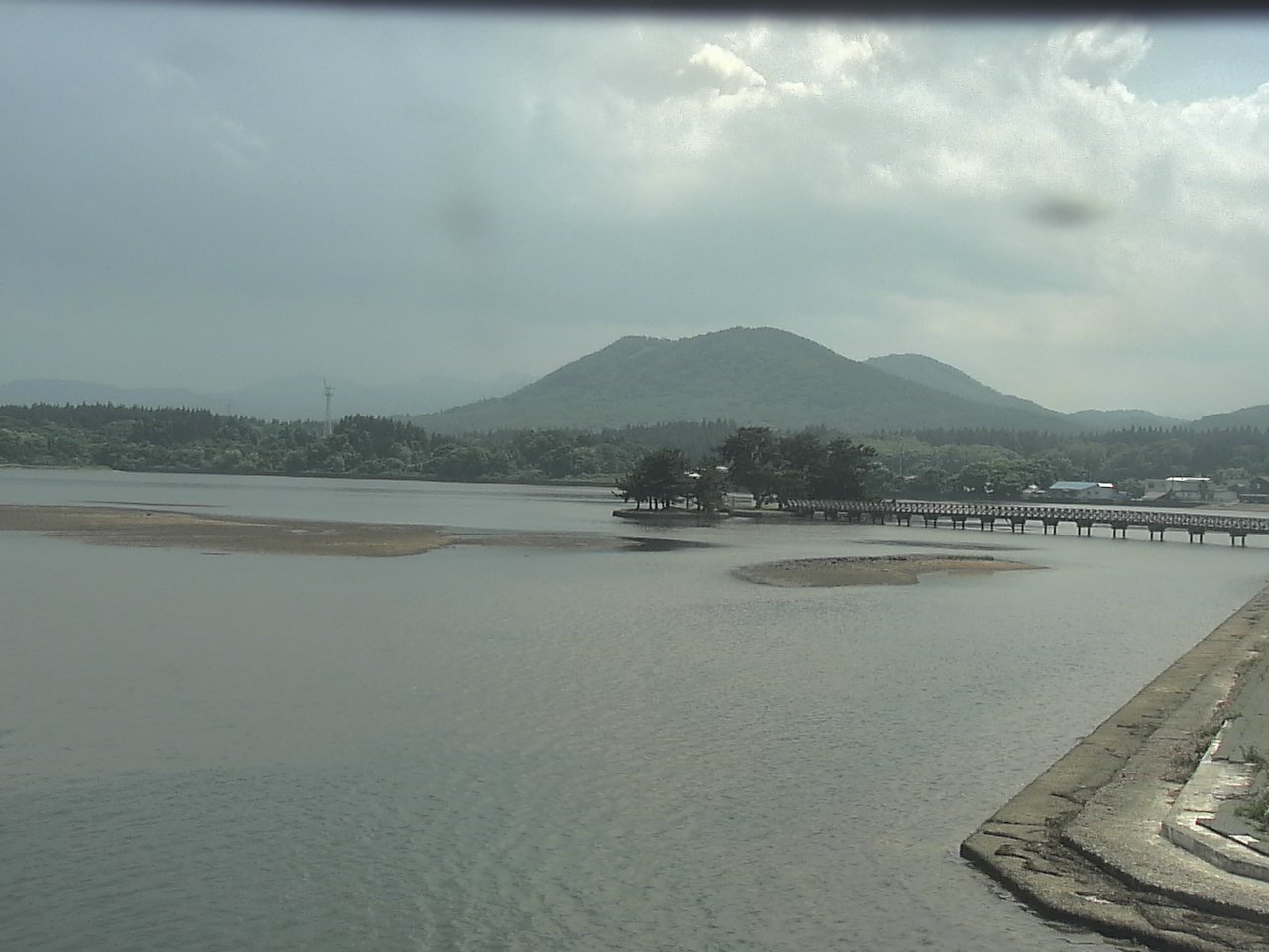 小湊海岸のハクチョウ