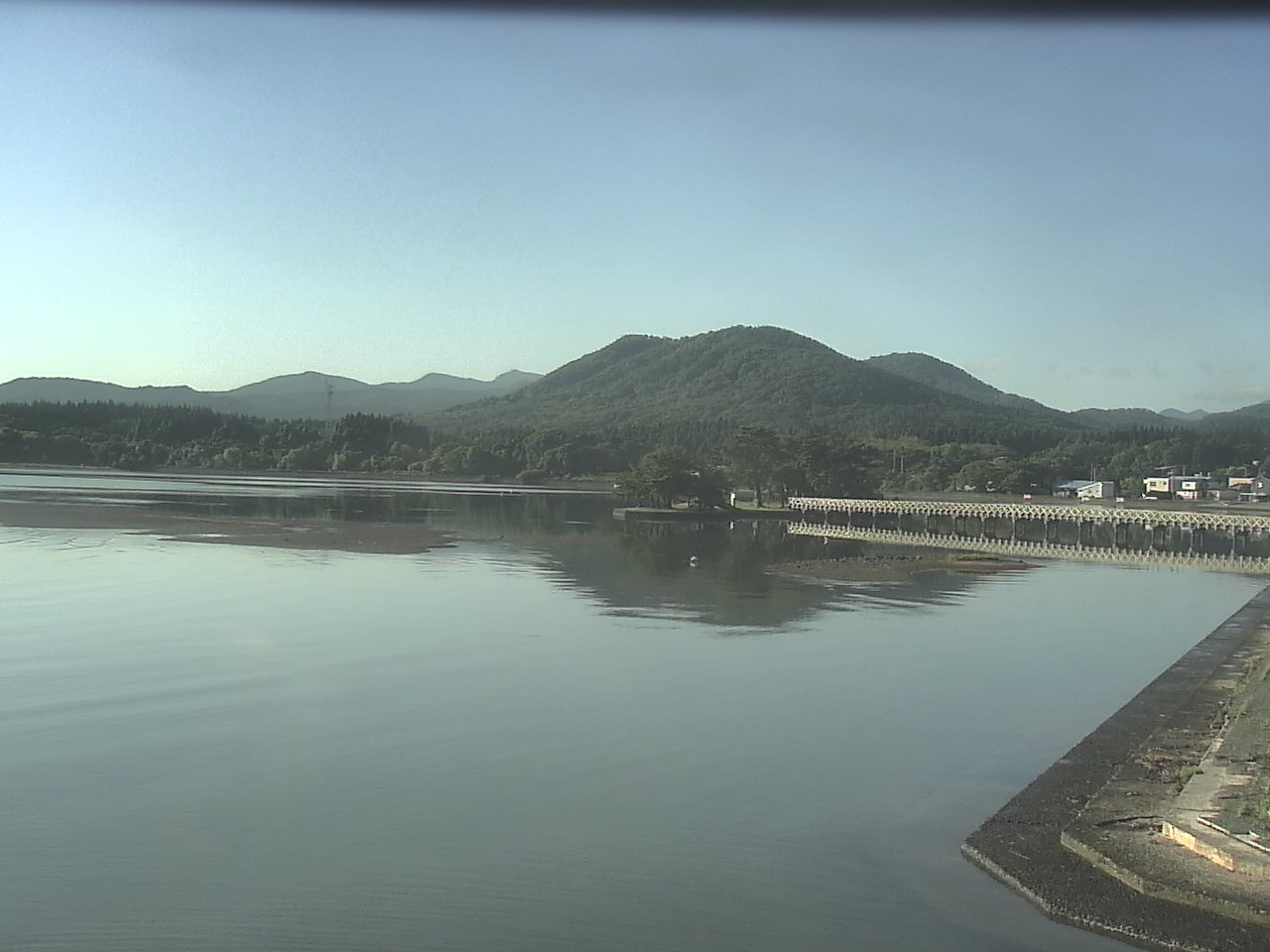 小湊海岸のハクチョウ