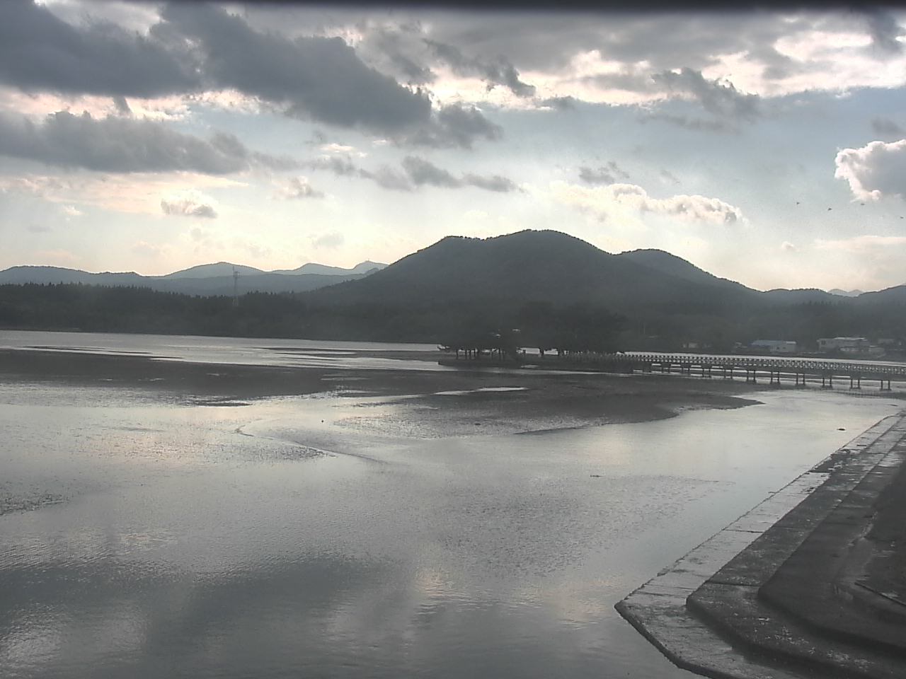 小湊海岸のハクチョウ
