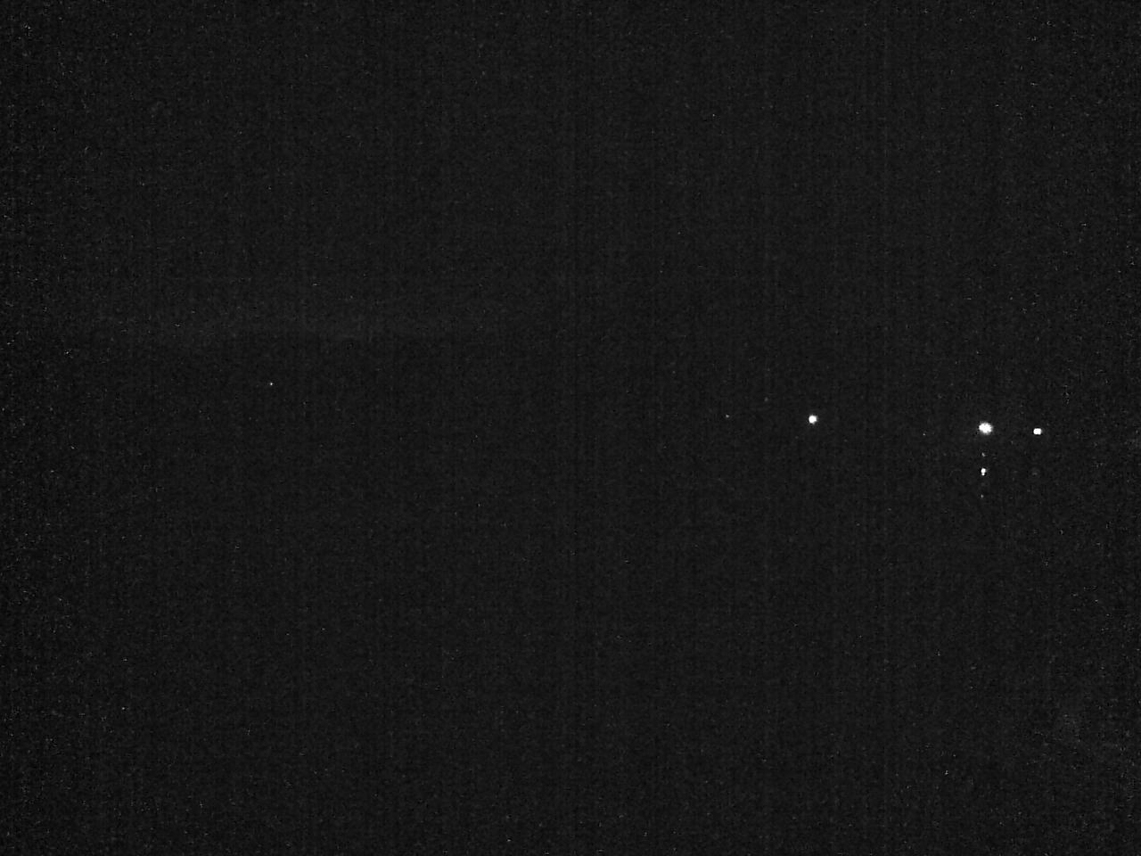 小湊海岸のハクチョウ