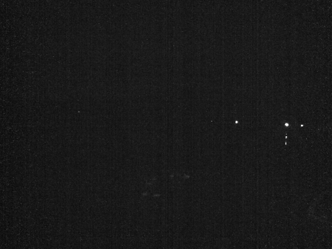 小湊海岸のハクチョウ