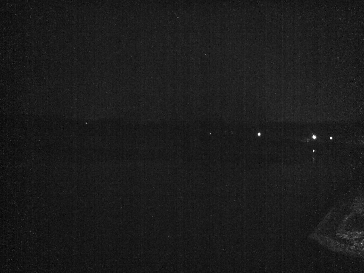 小湊海岸のハクチョウ