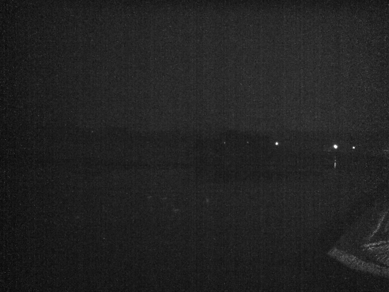 小湊海岸のハクチョウ