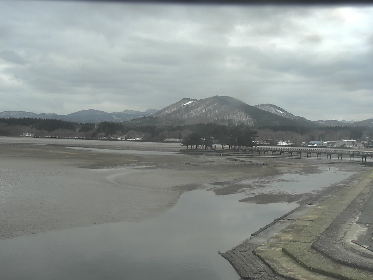 小湊海岸のハクチョウ