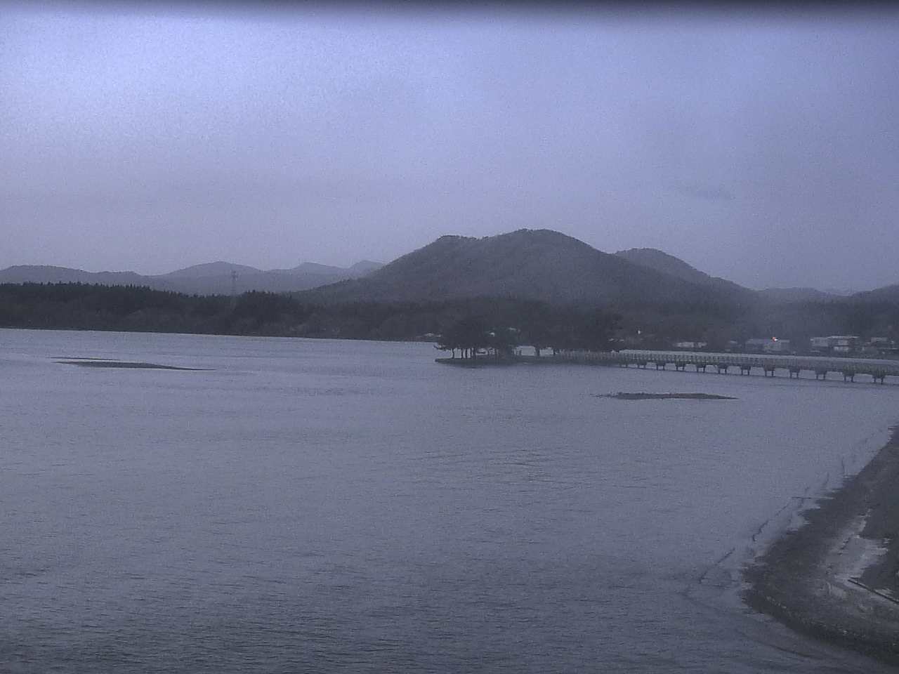 小湊海岸のハクチョウ