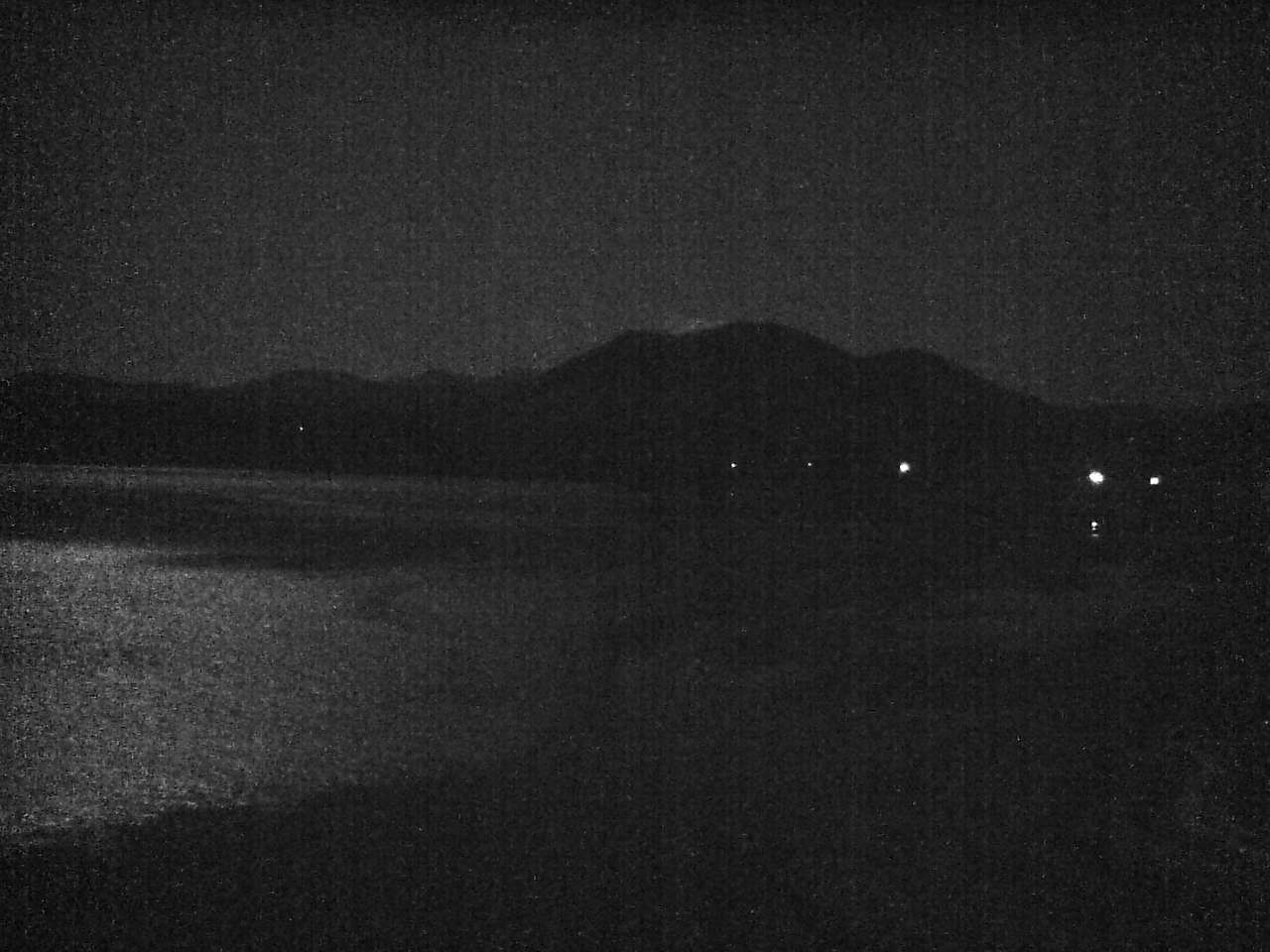 Swans on Kominato Beach