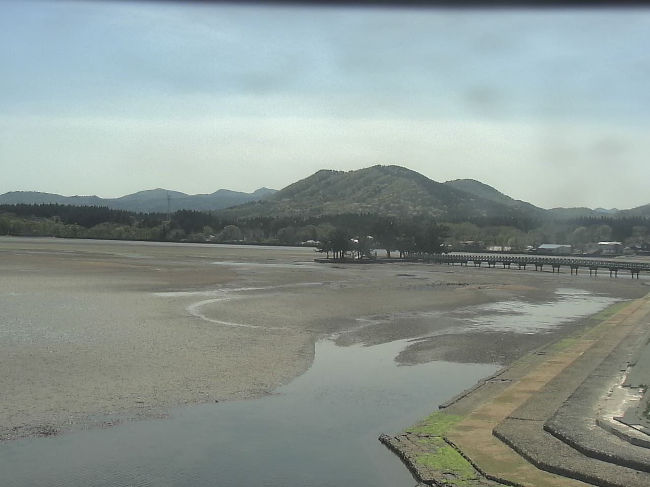 小湊海岸のハクチョウ