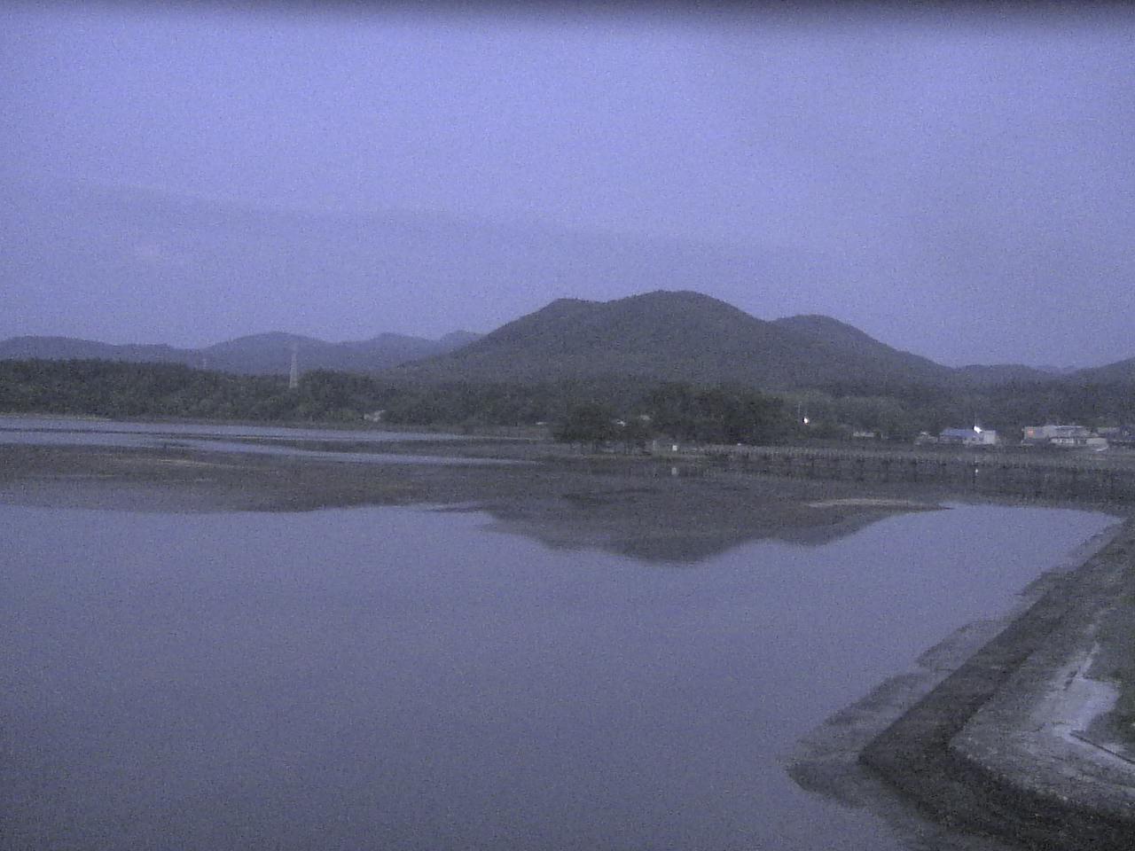小湊海岸のハクチョウ