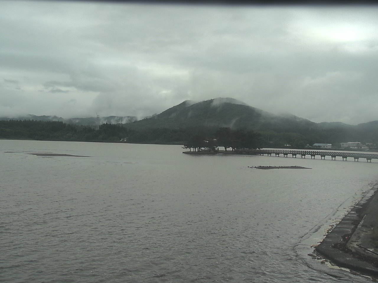 小湊海岸のハクチョウ