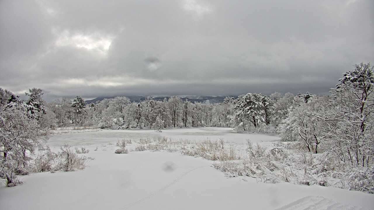 裏磐梯レンゲ沼と磐梯山