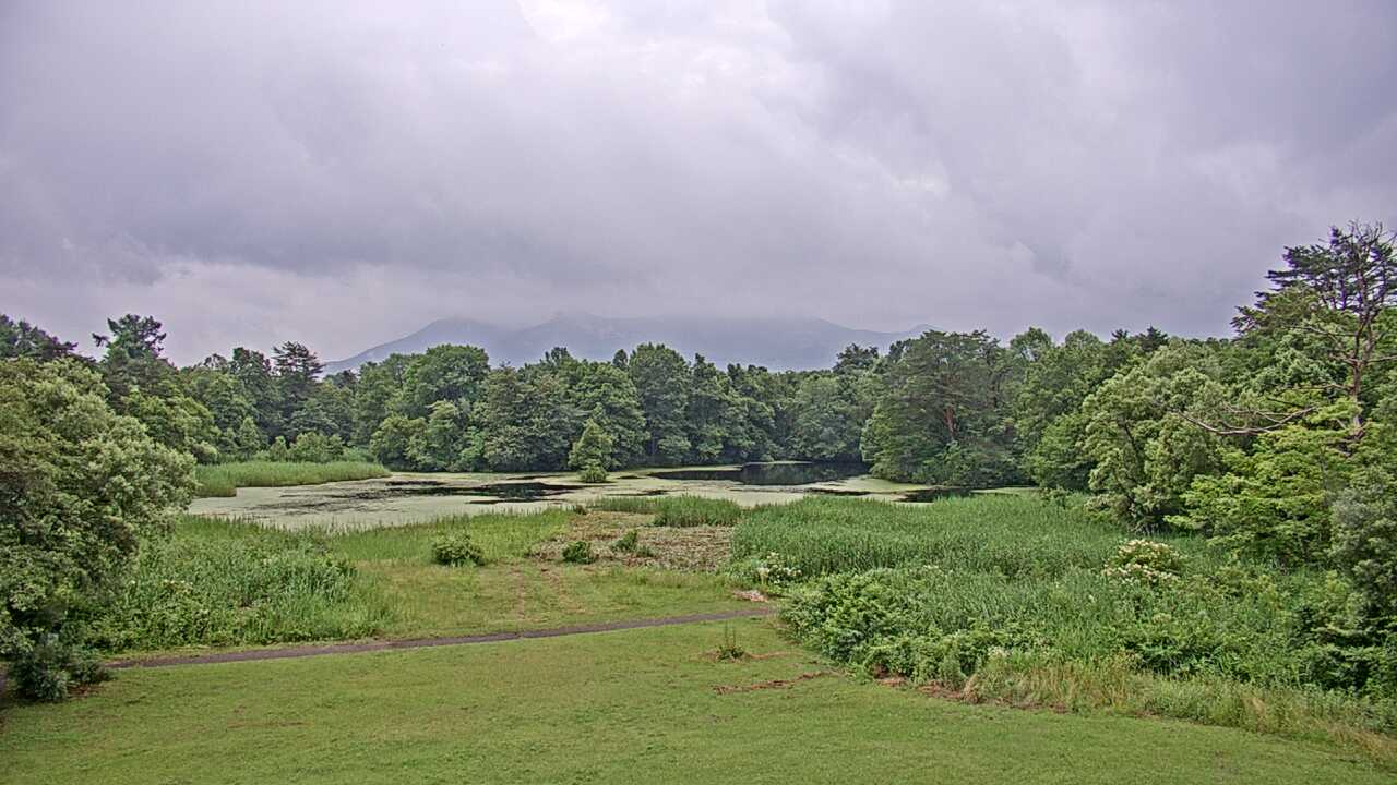 裏磐梯レンゲ沼と磐梯山