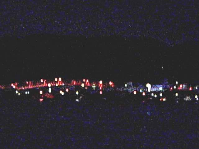 厚岸湖  ・ 別寒辺牛湿原の動物達