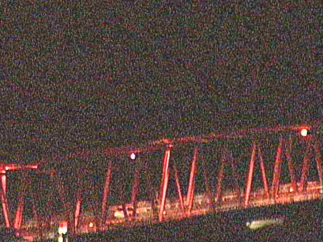 厚岸湖  ・ 別寒辺牛湿原の動物達