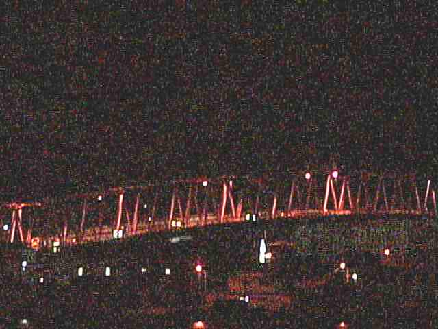 厚岸湖  ・ 別寒辺牛湿原の動物達