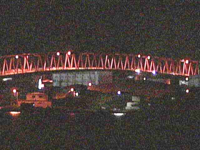 Animals in Lake Akkeshiko and Bekambeushi Marsh