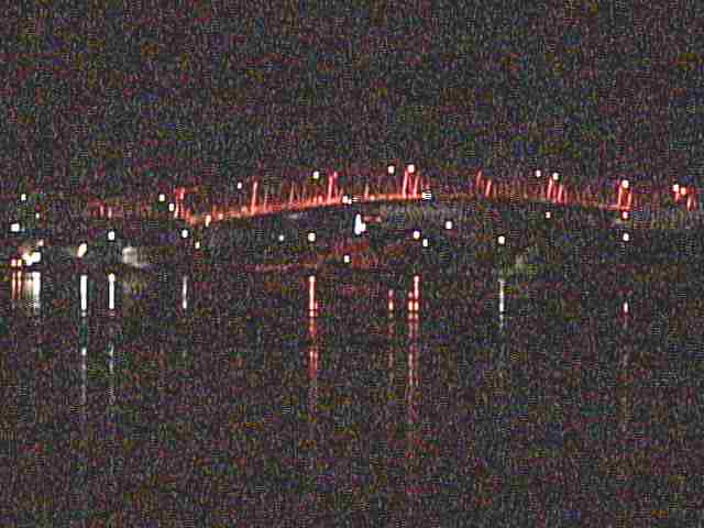 厚岸湖  ・ 別寒辺牛湿原の動物達