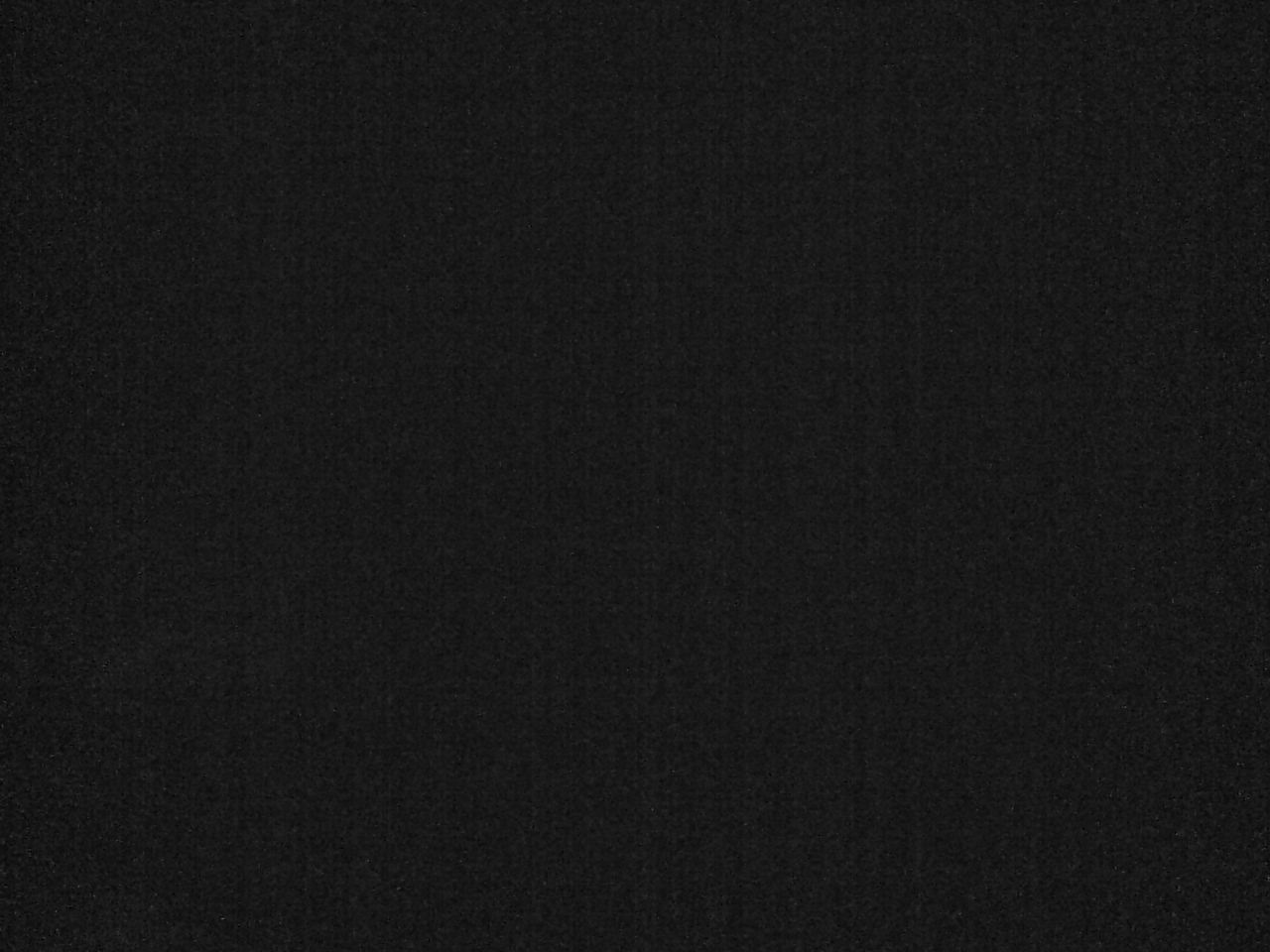 クッチャロ湖のハクチョウ