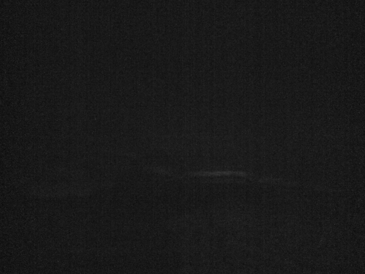 クッチャロ湖のハクチョウ