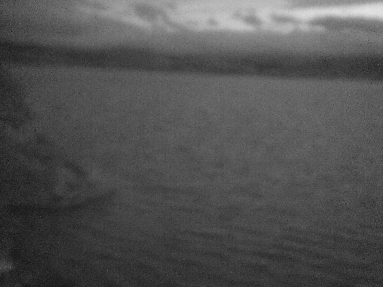Swans in Lake Kutcharoko