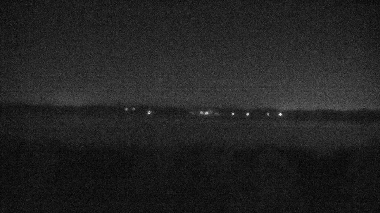 伊豆沼のガンカモ類