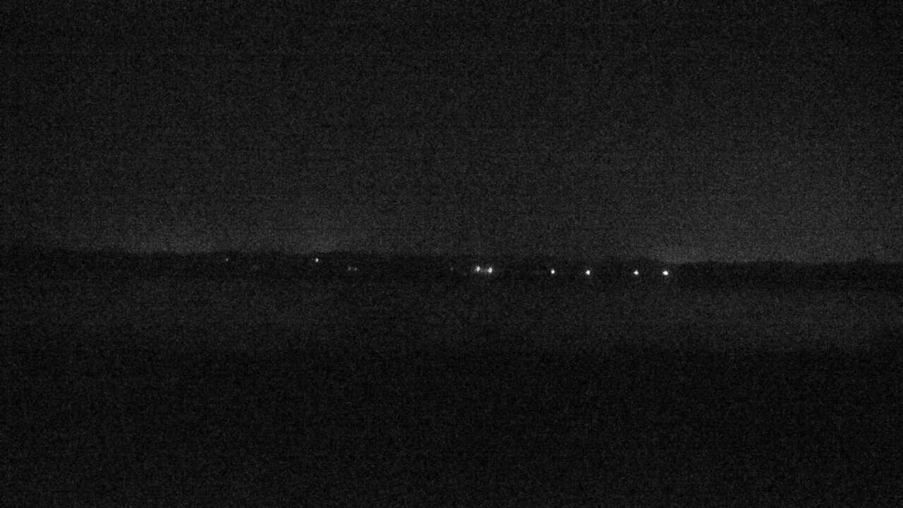 伊豆沼のガンカモ類