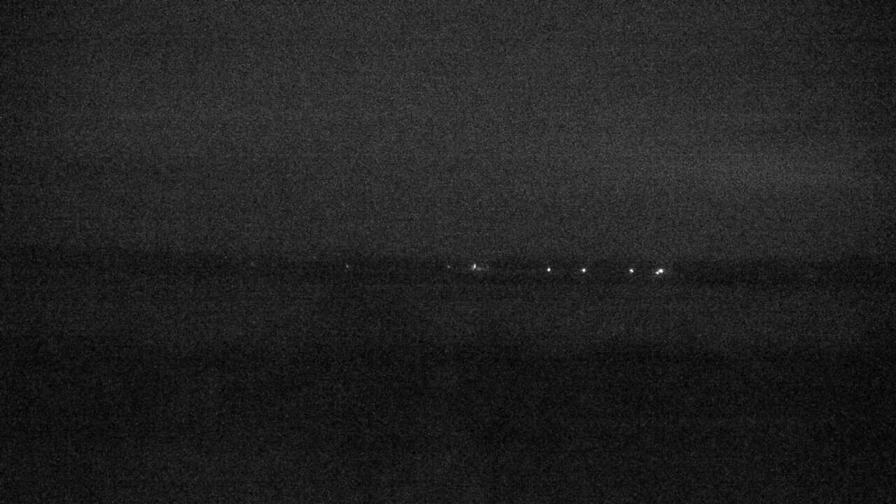 伊豆沼のガンカモ類