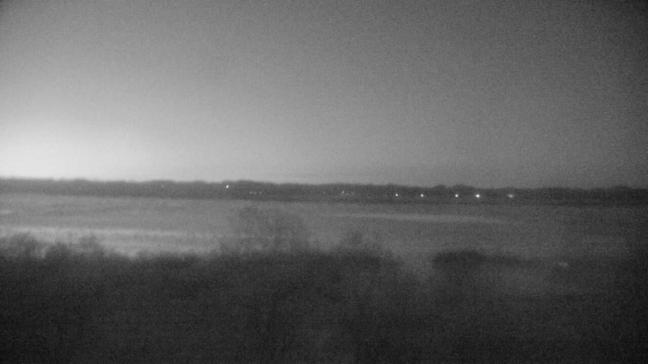 伊豆沼のガンカモ類