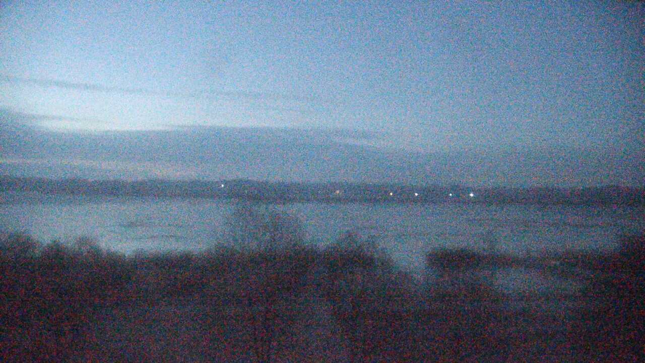 Waterfowls in Pond Izunuma