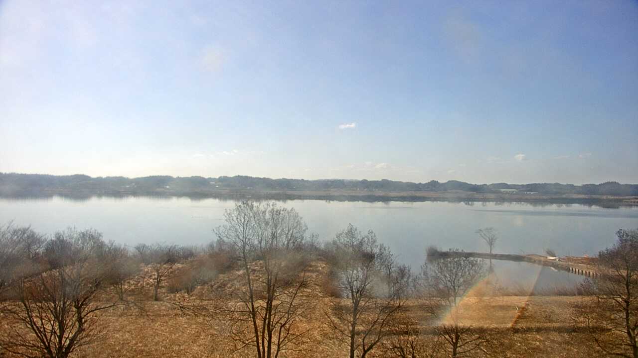 伊豆沼のガンカモ類