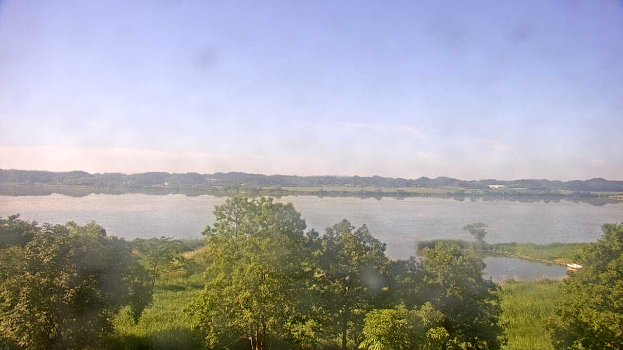 伊豆沼のガンカモ類