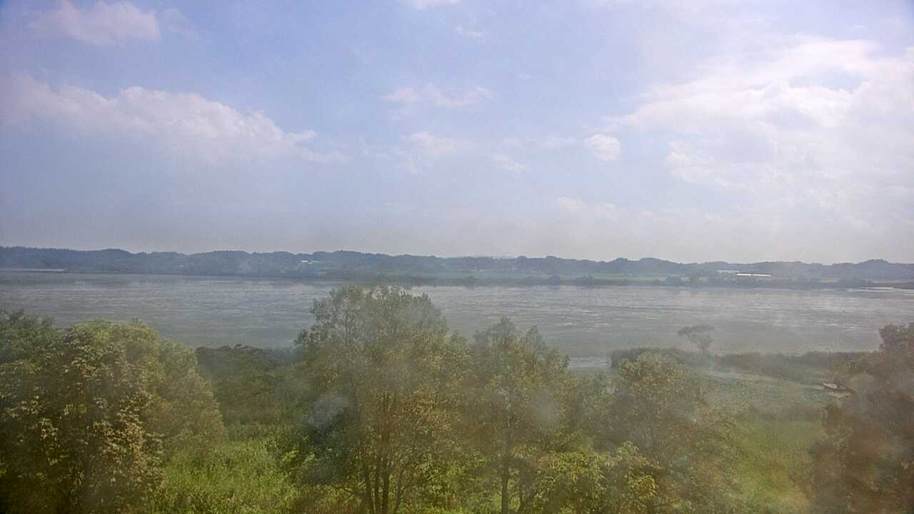 Waterfowls in Pond Izunuma