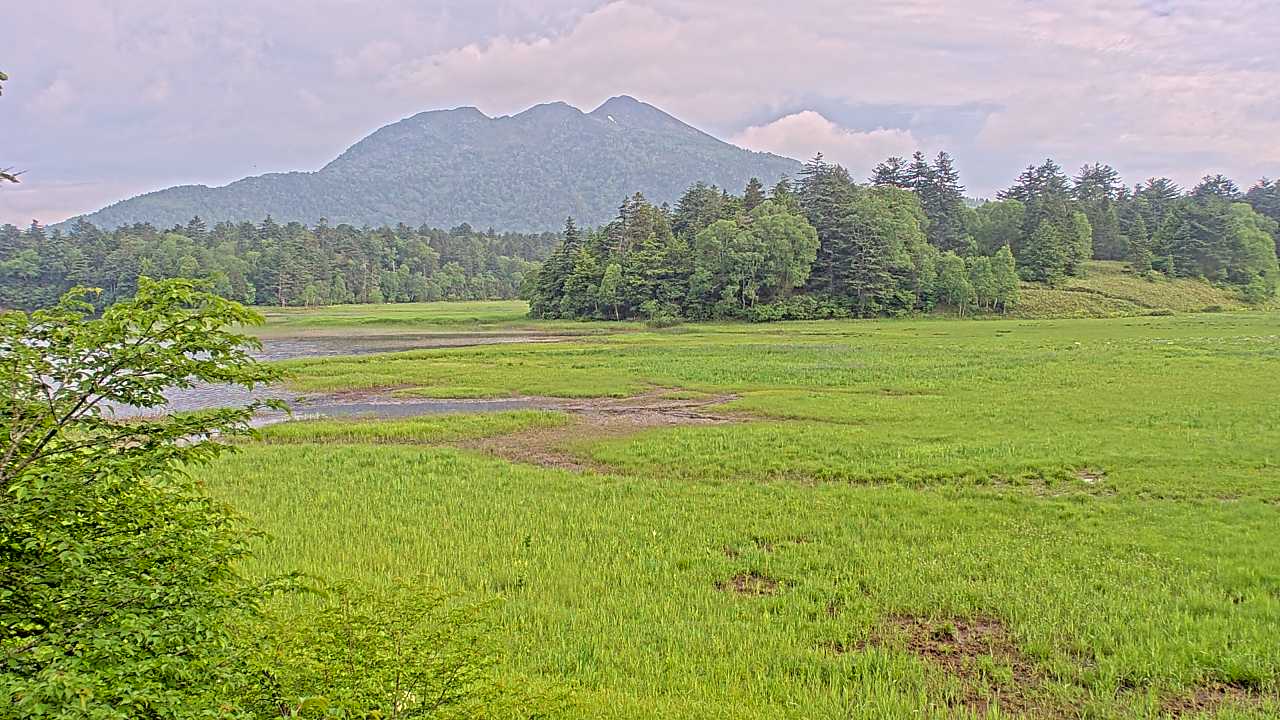 Pond Ozenuma