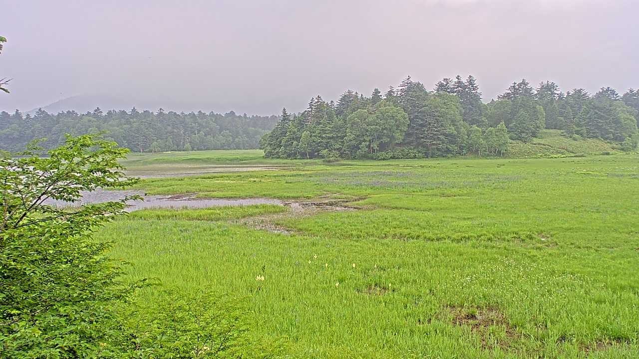尾瀬沼