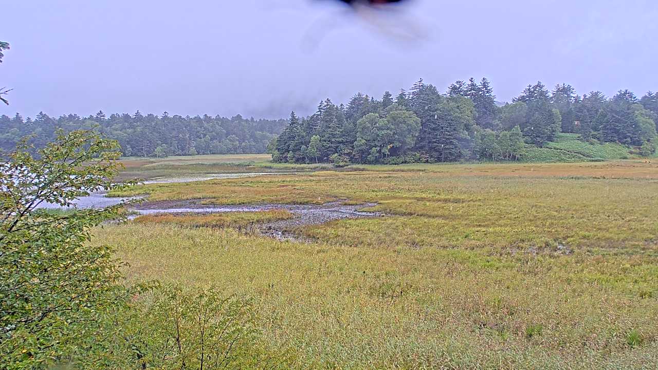 Pond Ozenuma