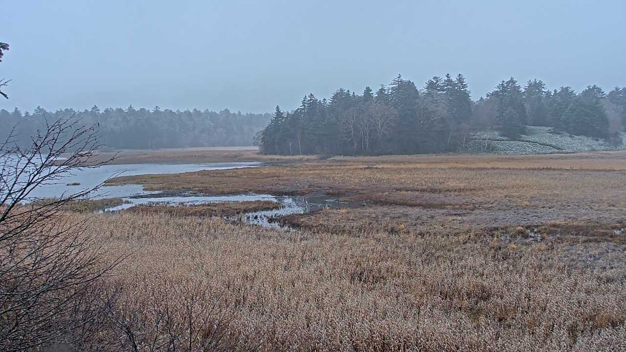 Pond Ozenuma