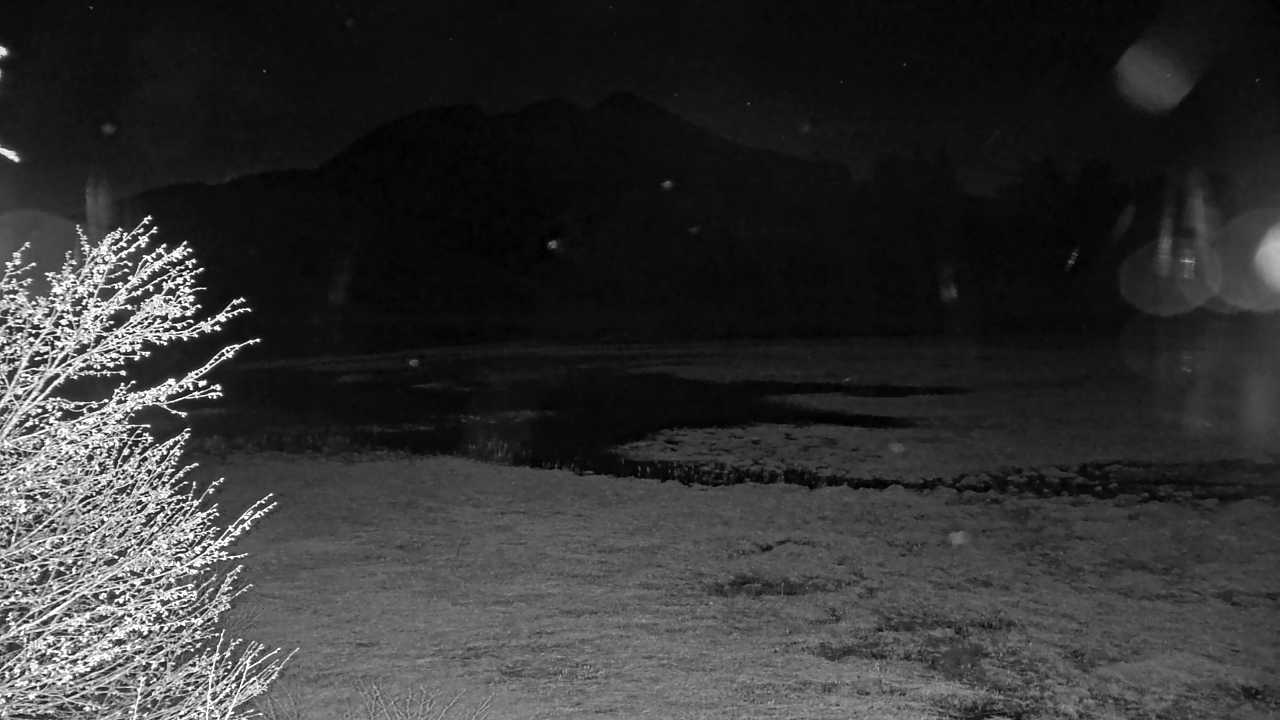 Pond Ozenuma