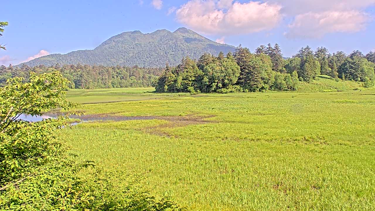 Pond Ozenuma
