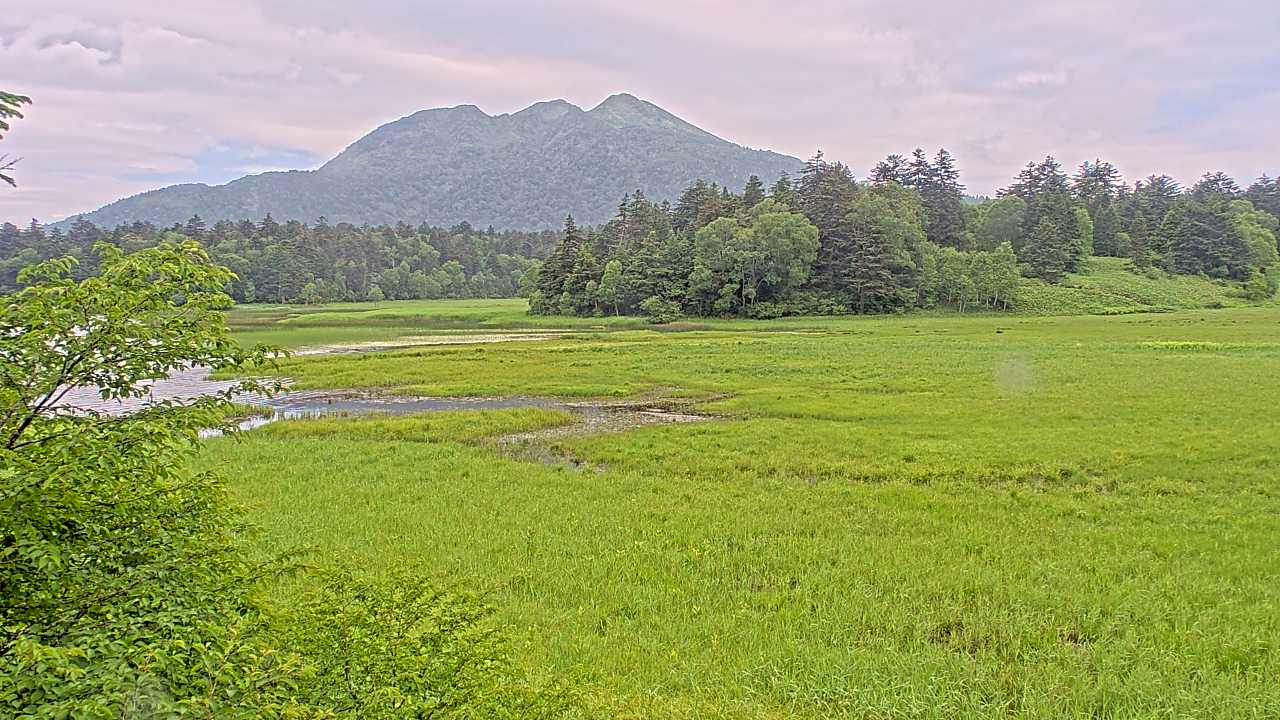 Pond Ozenuma