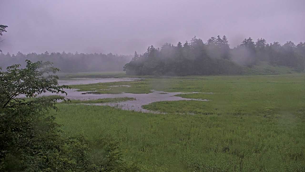 尾瀬沼