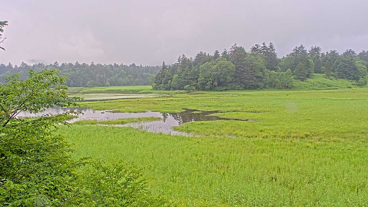 尾瀬沼