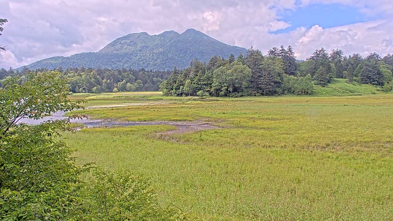 Pond Ozenuma