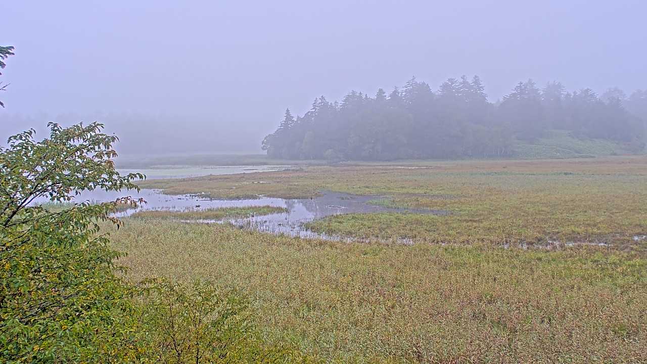 尾瀬沼