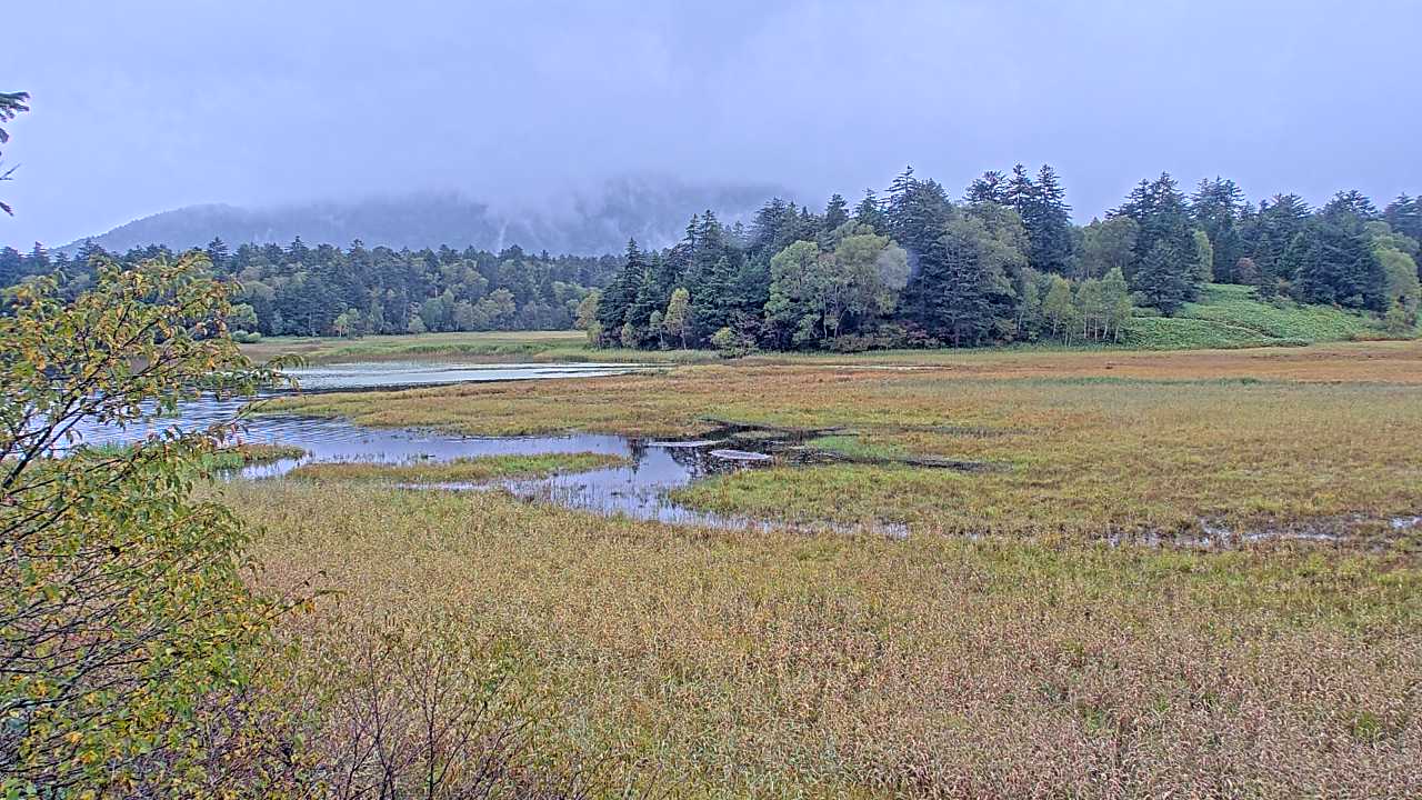 Pond Ozenuma