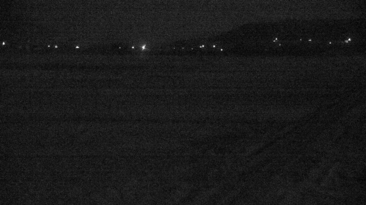 出水平野のツル