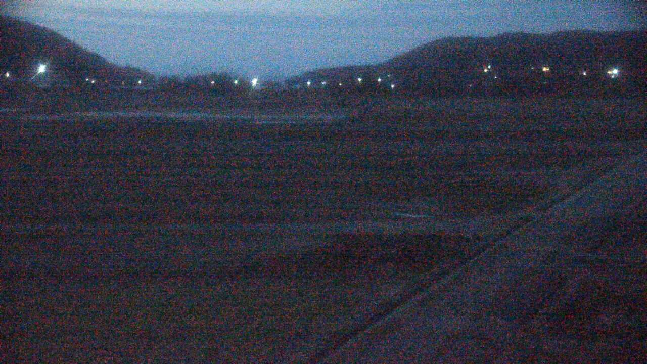 出水平野のツル